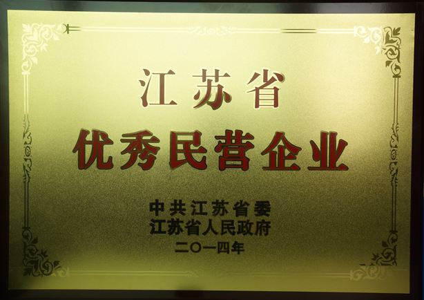 江蘇省優(yōu)秀民營(yíng)企業(yè)